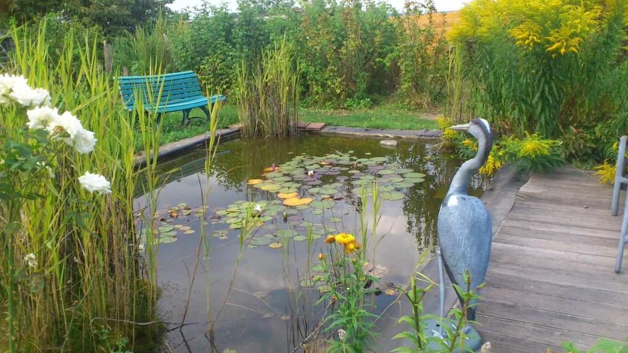 Saint-Lubin-de-la-Haye Lilac Cottage المظهر الخارجي الصورة